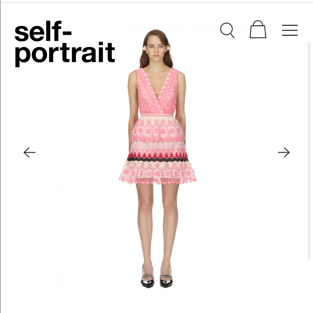 Self-Portrait Striped Floral Guipure Mini Dress